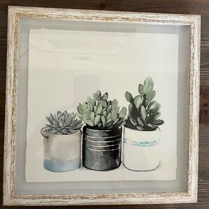11x11 Frame Potted Succulents Pastel Colors